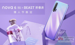 Huawei Nova 6 5G valentine