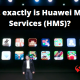 What exactly is Huawei Mobile Services