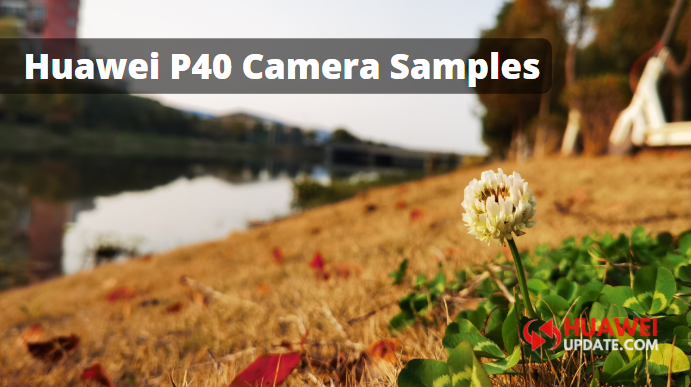 Huawei P40 series camera samples leaked
