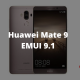 Mate 9 EMUI 9.1.0.270