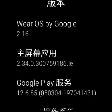 Watch 2 Wear OS 2.16