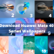 Download Huawei Mate 40 series wallpapers