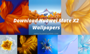 Download the Huawei Mate X2 Wallpapers