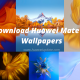 Download the Huawei Mate X2 Wallpapers