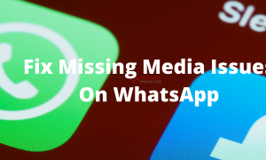Fix Media Issue on WhatsApp