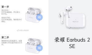 Honor EarBuds 2 SE True Wireless Headphones Leak