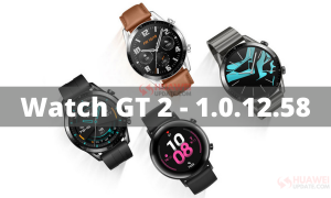 Watch GT 2 - 1.0.12.58