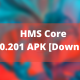 Download HMS Core 6.1.0.201 APK (1)