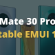 Mate 30 Pro Stable EMUI 12