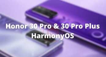 Honor 30 Pro and 30 Pro Plus getting May 2022 security update