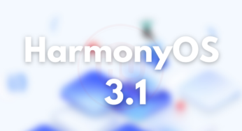 HarmonyOS 3.1 Developer beta information for phones